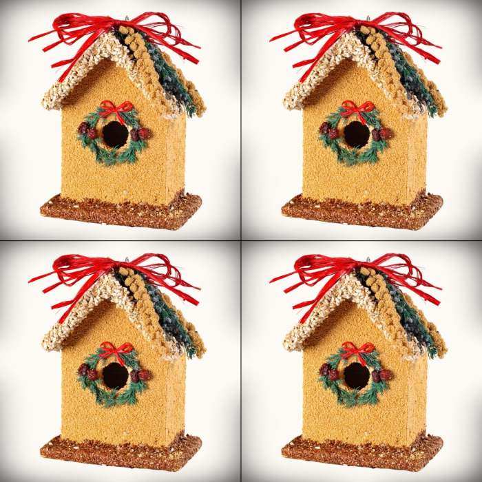 Birdie's Bed & Breakfast Bluebird House 4/Pack